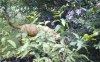 KINDLE_CAMERA_1467725873000.jpg