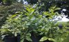 KINDLE_CAMERA_1467725864000.jpg
