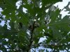 DSCN3304.JPG