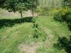 DSC03463.JPG