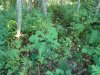 DSC03465.JPG