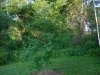 DSCN3276.JPG