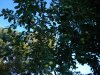 DSCN3312.JPG