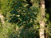 DSCN3315.JPG