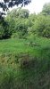 20160724_095707.jpg