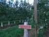 DSCN3320.JPG