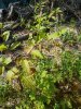 20160723_094235.jpg
