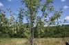 IMG_5117.JPG
