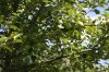 IMG_5119.JPG