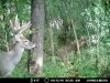 MDGC0003-320x240.JPG