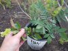 20160804_201045.jpg