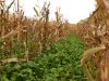 DSCN0288.JPG