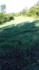 20160806_082146.jpg