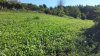 20160806_085658.jpg