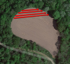 orchard2.png