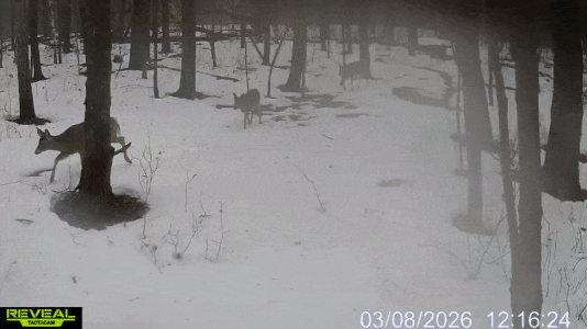 ezgif-5dc16edfd81ca875.gif ezgif-5dc16edfd81ca875.gif