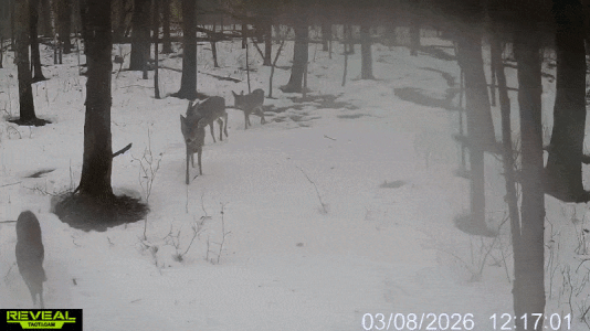 ezgif-5baac703a90f0233.gif ezgif-5baac703a90f0233.gif