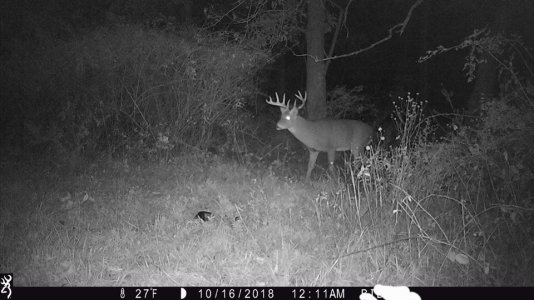 44247797_10156601856566380_5051667192693653504_n.jpg 44247797_10156601856566380_5051667192693653504_n.jpg