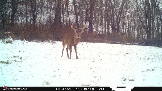 47573303_10156717017551380_7936282930811240448_o-1.jpg 47573303_10156717017551380_7936282930811240448_o-1.jpg