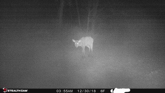 49645492_10156780050041380_733591327668699136_o.jpg 49645492_10156780050041380_733591327668699136_o.jpg