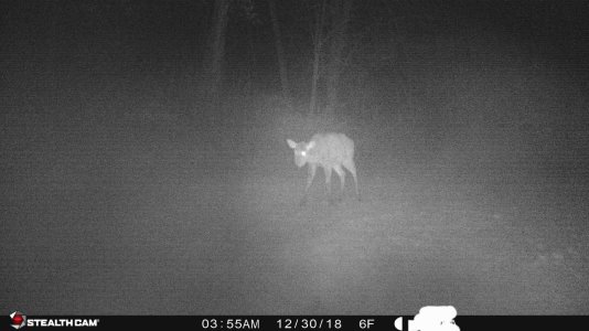 49381658_10156780050831380_8041420813934526464_o.jpg 49381658_10156780050831380_8041420813934526464_o.jpg