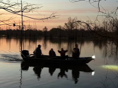 IMG_9388.jpeg IMG_9388.jpeg