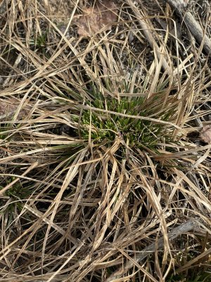 IMG_5678 new.jpg IMG_5678 new.jpg