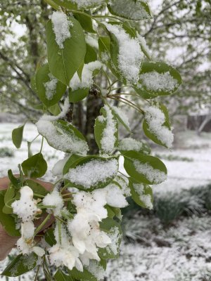 IMG_6210.jpeg IMG_6210.jpeg