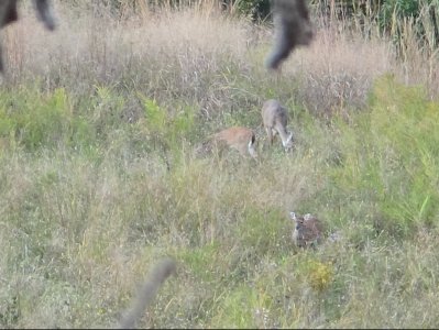 Screenshot 2026-03-23 103023.jpg