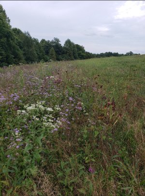 Screenshot 2026-03-23 103122.jpg