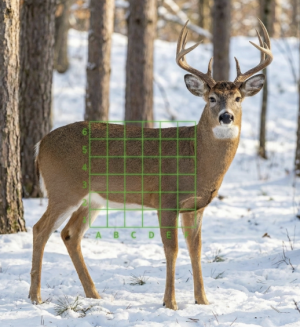 Screenshot 2026-03-24 at 5.56.59 AM.png