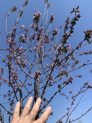 IMG_6241.jpeg IMG_6241.jpeg