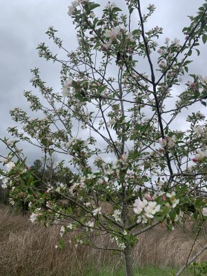 IMG_6219.jpeg IMG_6219.jpeg