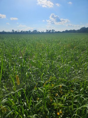 20250819_170628.jpg 20250819_170628.jpg