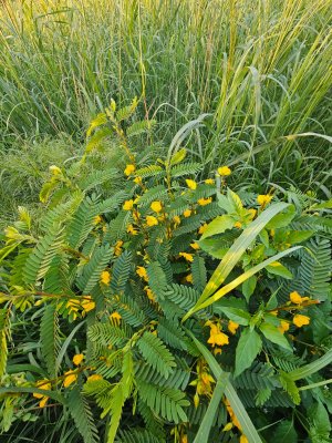 20250824_193517.jpg 20250824_193517.jpg