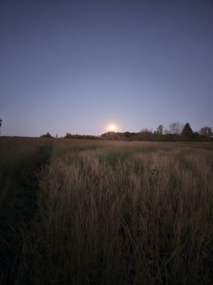 20251007_191824.jpg 20251007_191824.jpg