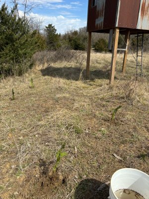 IMG_4406.jpg IMG_4406.jpg