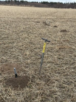 IMG_1985.jpeg IMG_1985.jpeg