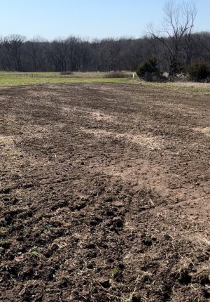 Tower plot seeded to clover.jpg