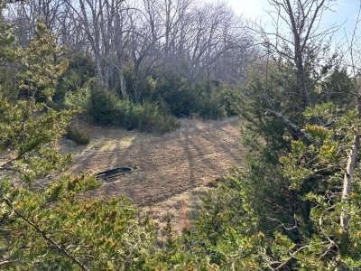 ridge plot stand view.jpg