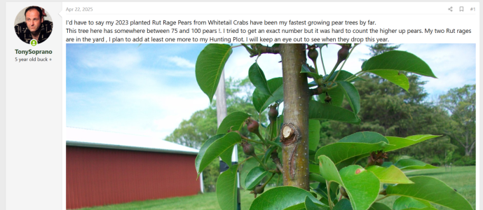 Screenshot (965).png