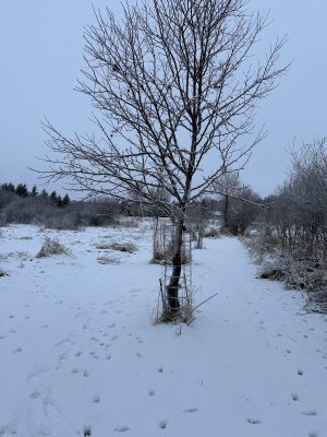 IMG_2032.jpeg IMG_2032.jpeg