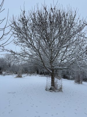 IMG_2031.jpeg IMG_2031.jpeg