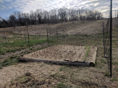 1775333199884.png 1775333199884.png