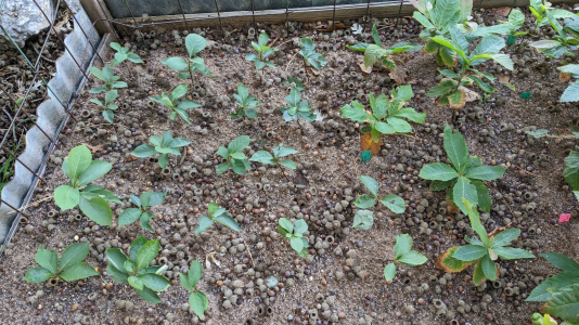 1775333465958.png 1775333465958.png