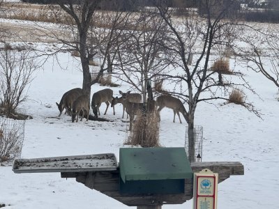 IMG_2041.jpeg IMG_2041.jpeg