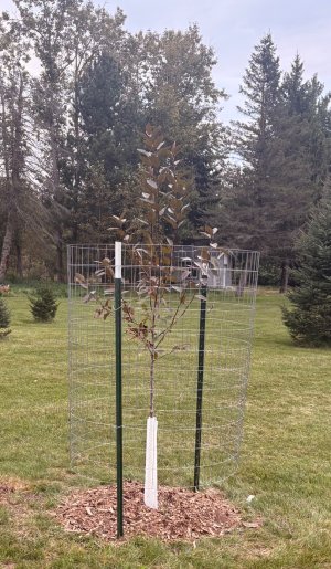 IMG_9872.jpeg IMG_9872.jpeg