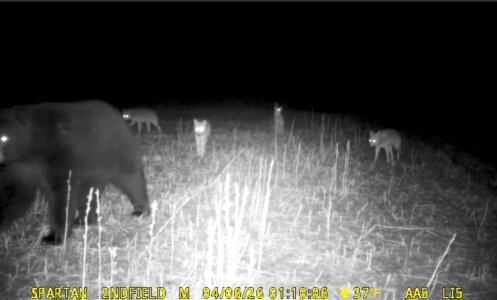 Screenshot_20260406_063708_Spartan Camera.jpg