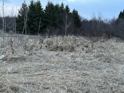 IMG_2048.jpeg IMG_2048.jpeg