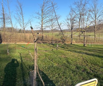 IMG_2275.jpeg IMG_2275.jpeg